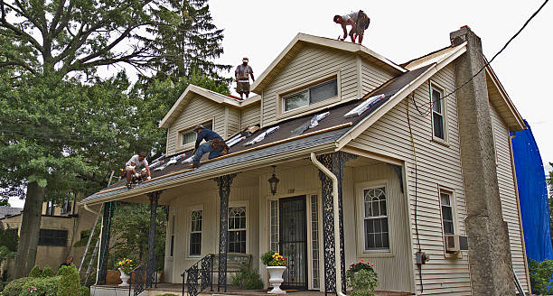 Best Storm Damage Roof Repair  in Clarksdale, MS